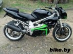 Suzuki TL 1000 photo