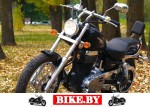 Suzuki Boulevard photo