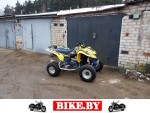 Suzuki QuadSport photo